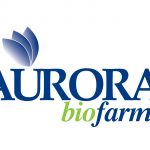 Aurora Logo_page-0001